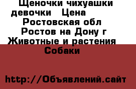 Щеночки чихуашки девочки › Цена ­ 9 500 - Ростовская обл., Ростов-на-Дону г. Животные и растения » Собаки   